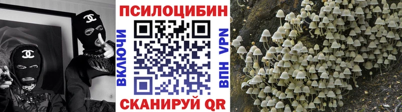 Псилоцибиновые грибы Cubensis  Купить  Керчь 